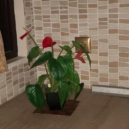 Liristis Apartman *